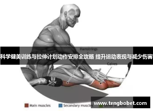 科学健美训练与拉伸计划动作安排全攻略 提升运动表现与减少伤害