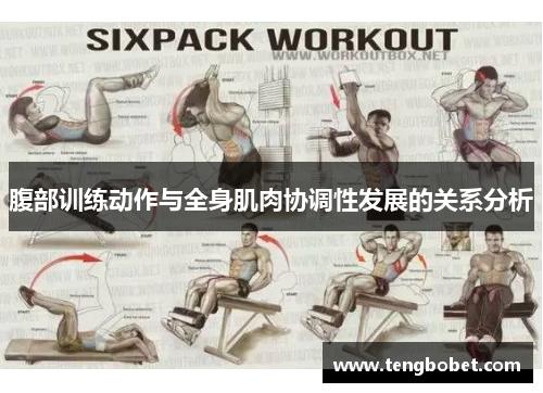 腹部训练动作与全身肌肉协调性发展的关系分析